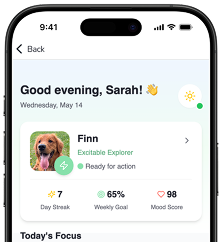 app mockup
